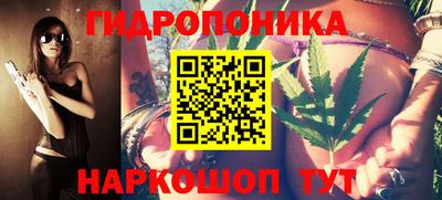 СК Шебекино